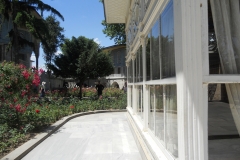 DSCN8773