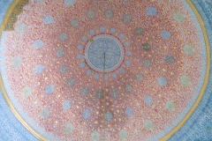 DSCN8782