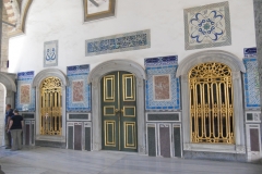 DSCN8789