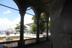 DSCN8792