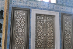 DSCN8793