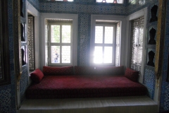 DSCN8794
