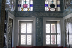 DSCN8795