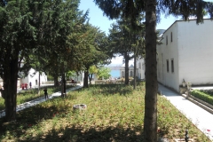 DSCN8796